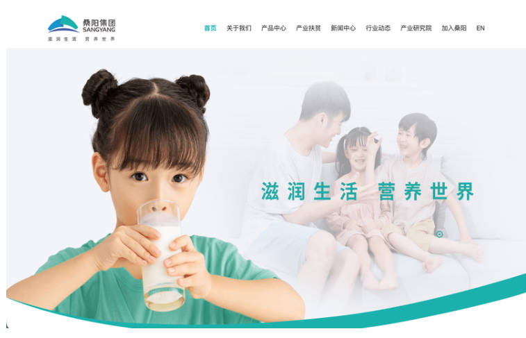 企业官网定制开发