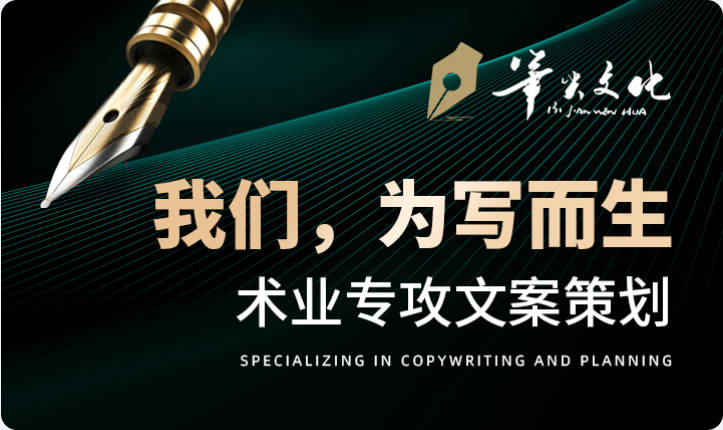 商业计划书代做项目计划书可研报告项目汇报方案设计